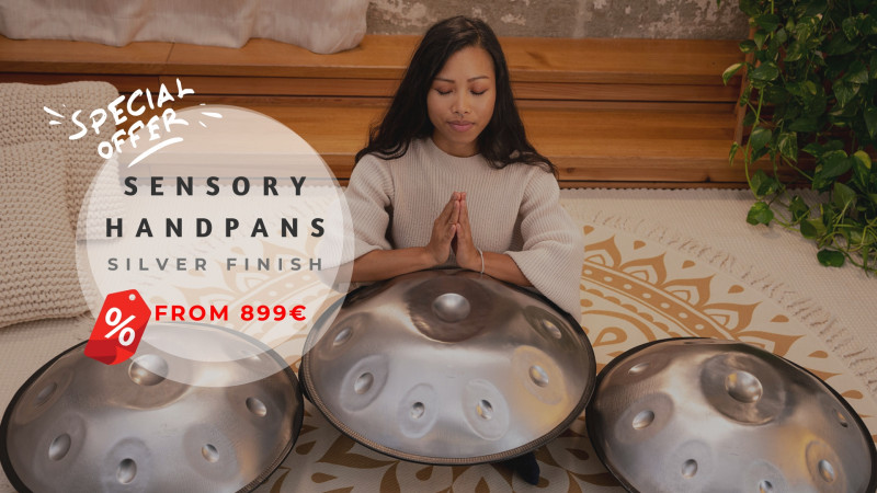 https://www.meinlshop.de/en/meinl-sonic-energy/handpans/sensory