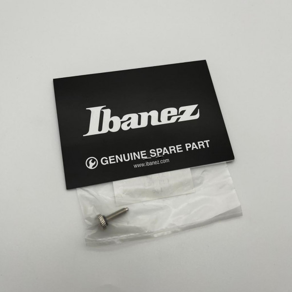 Ibanez intonation adjustment bolt for ZR tremolo (2ZR2-8)