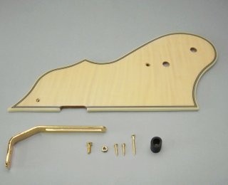 IBANEZ Pickguard (4PG1FMFNT)