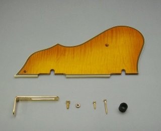 IBANEZ Schlagbrett - geflammter ahorn/amber für AS103AMB (4PG12A0003)